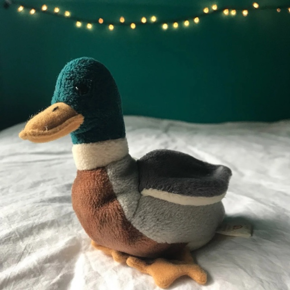 TY The Beanie Babies Collection Jake